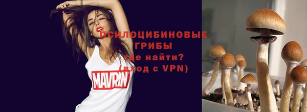 хмурый Волосово