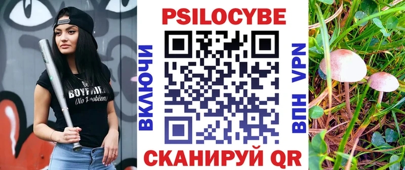 Псилоцибиновые грибы Cubensis  Купить закладки  Миньяр 