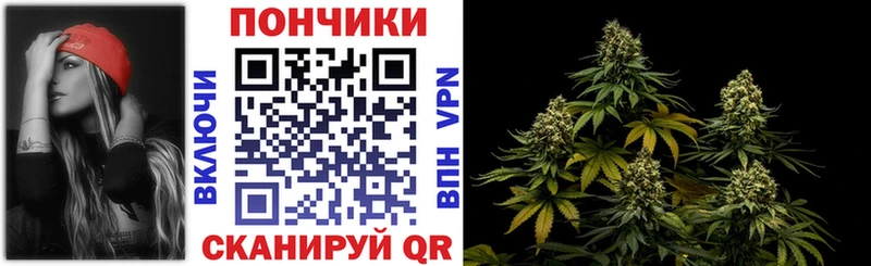 Шишки марихуана планчик  Купить где  Миньяр 